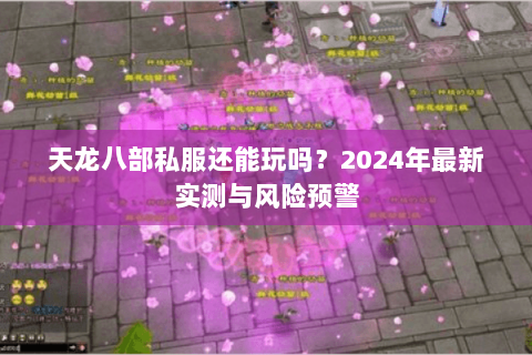 天龙八部私服还能玩吗?2024年最新实测与风险预警 天龙八部私服还能玩吗?2024年最新实测与风险预警