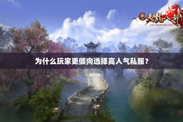 为什么玩家更倾向选择高人气私服？