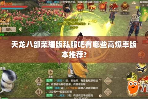 天龙八部荣耀版私服吧有哪些高爆率版本推荐? 天龙八部荣耀版私服吧有哪些高爆率版本推荐?