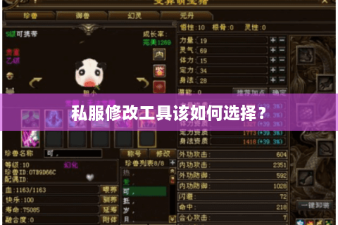 私服修改工具该如何选择? 私服修改工具该如何选择?