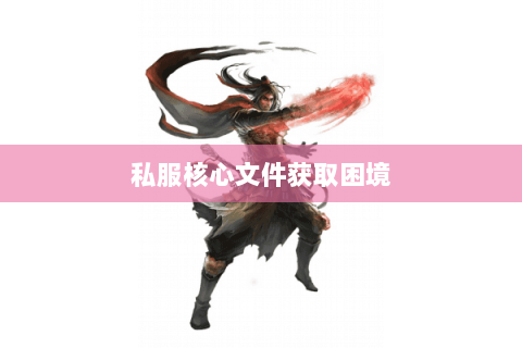 私服核心文件获取困境 私服核心文件获取困境