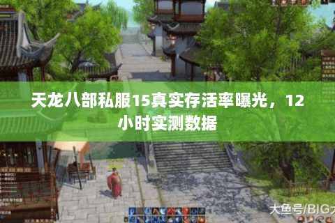 天龙八部私服15真实存活率曝光,12小时实测数据 天龙八部私服15真实存活率曝光,12小时实测数据