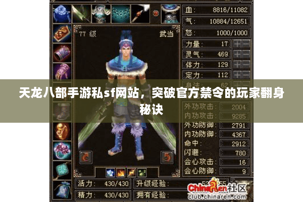 天龙八部手游私sf网站，突破官方禁令的玩家翻身秘诀