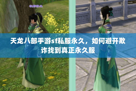 天龙八部手游sf私服永久，如何避开欺诈找到真正永久服