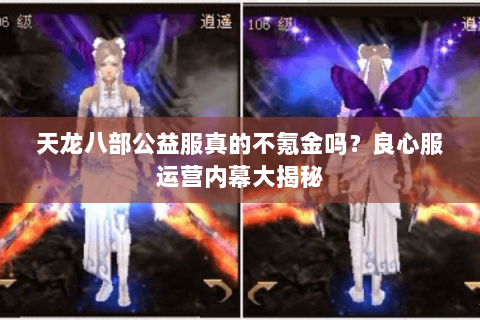 天龙八部公益服真的不氪金吗?良心服运营内幕大揭秘 天龙八部公益服真的不氪金吗?良心服运营内幕大揭秘