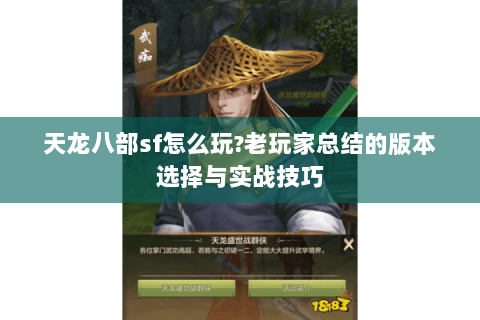 天龙八部sf怎么玩?老玩家总结的版本选择与实战技巧 天龙八部sf怎么玩?老玩家总结的版本选择与实战技巧