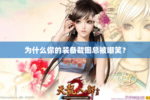 为什么你的装备截图总被嘲笑? 为什么你的装备截图总被嘲笑?