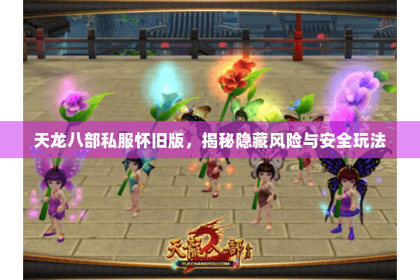 天龙八部私服怀旧版,揭秘隐藏风险与安全玩法 天龙八部私服怀旧版,揭秘隐藏风险与安全玩法