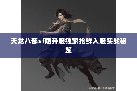天龙八部sf刚开服独家抢鲜入服实战秘笈 天龙八部sf刚开服独家抢鲜入服实战秘笈