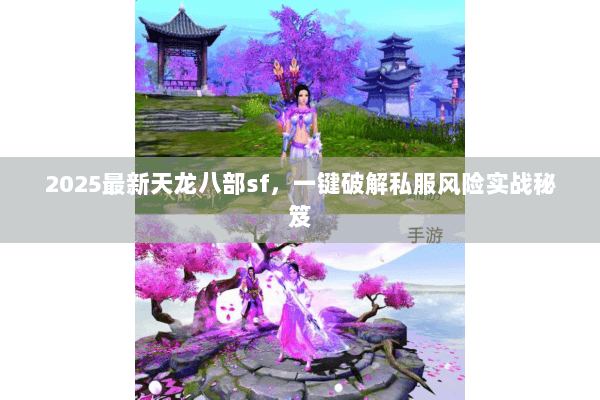 2025最新天龙八部sf,一键破解私服风险实战秘笈 2025最新天龙八部sf,一键破解私服风险实战秘笈