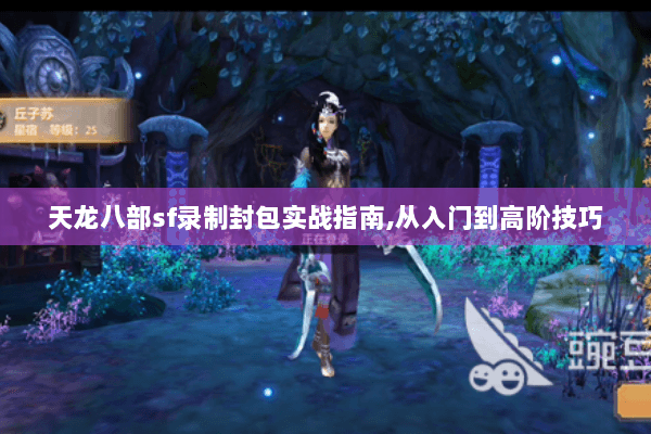 天龙八部sf录制封包实战指南,从入门到高阶技巧 天龙八部sf录制封包实战指南,从入门到高阶技巧