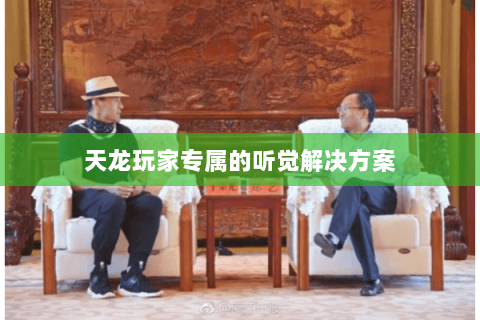 天龙玩家专属的听觉解决方案 天龙玩家专属的听觉解决方案