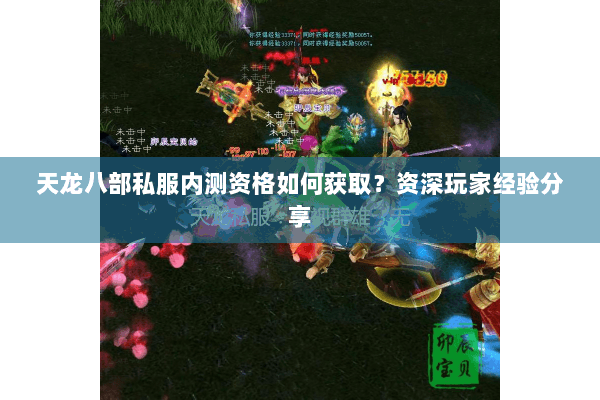 天龙八部私服内测资格如何获取？资深玩家经验分享