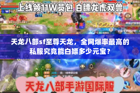 天龙八部sf至尊天龙,全网爆率最高的私服究竟能白嫖多少元宝? 天龙八部sf至尊天龙,全网爆率最高的私服究竟能白嫖多少元宝?