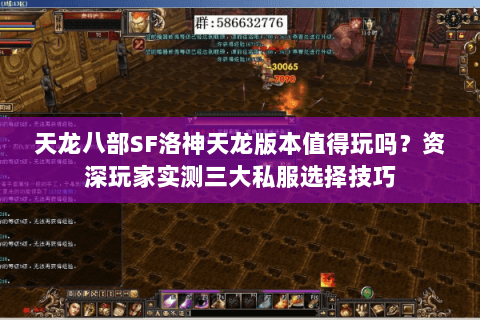 天龙八部SF洛神天龙版本值得玩吗?资深玩家实测三大私服选择技巧 天龙八部SF洛神天龙版本值得玩吗?资深玩家实测三大私服选择技巧