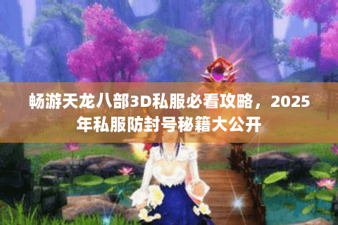 畅游天龙八部3D私服必看攻略,2025年私服防封号秘籍大公开 畅游天龙八部3D私服必看攻略,2025年私服防封号秘籍大公开