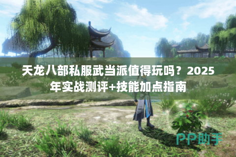 天龙八部私服武当派值得玩吗?2025年实战测评+技能加点指南 天龙八部私服武当派值得玩吗?2025年实战测评+技能加点指南