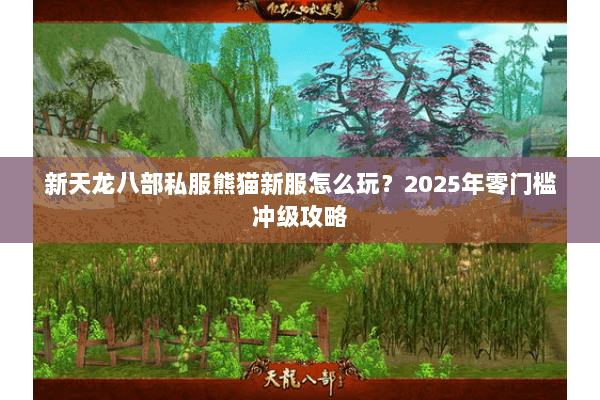 新天龙八部私服熊猫新服怎么玩?2025年零门槛冲级攻略 新天龙八部私服熊猫新服怎么玩?2025年零门槛冲级攻略