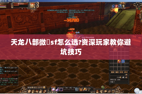 天龙八部微變sf怎么选?资深玩家教你避坑技巧