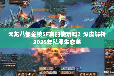 天龙八部金枝SF真的能玩吗?深度解析2025年私服生态链 天龙八部金枝SF真的能玩吗?深度解析2025年私服生态链