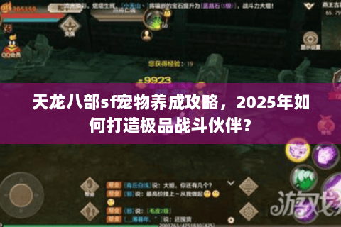 天龙八部sf宠物养成攻略,2025年如何打造极品战斗伙伴? 天龙八部sf宠物养成攻略,2025年如何打造极品战斗伙伴?
