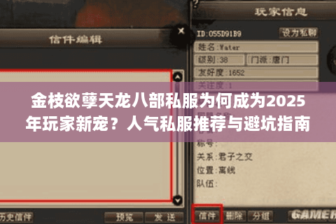 金枝欲孽天龙八部私服为何成为2025年玩家新宠？人气私服推荐与避坑指南