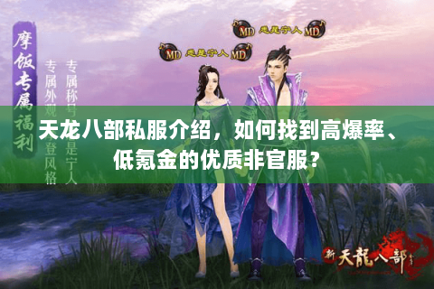 天龙八部私服介绍,如何找到高爆率、低氪金的优质非官服? 天龙八部私服介绍,如何找到高爆率、低氪金的优质非官服?