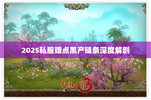 2025私服赠点黑产链条深度解剖 2025私服赠点黑产链条深度解剖