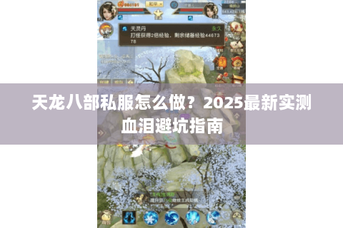 天龙八部私服怎么做?2025最新实测血泪避坑指南 天龙八部私服怎么做?2025最新实测血泪避坑指南
