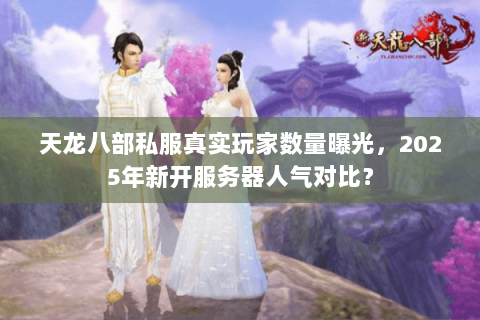 天龙八部私服真实玩家数量曝光,2025年新开服务器人气对比? 天龙八部私服真实玩家数量曝光,2025年新开服务器人气对比?