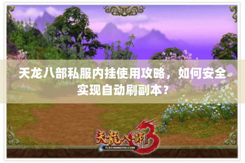 天龙八部私服内挂使用攻略,如何安全实现自动刷副本? 天龙八部私服内挂使用攻略,如何安全实现自动刷副本?