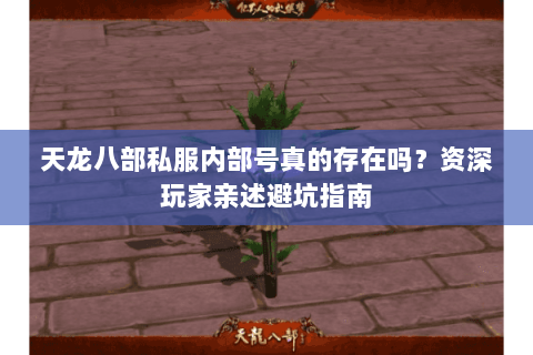 天龙八部私服内部号真的存在吗?资深玩家亲述避坑指南 天龙八部私服内部号真的存在吗?资深玩家亲述避坑指南