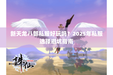 新天龙八部私服好玩吗？2025年私服选择避坑指南