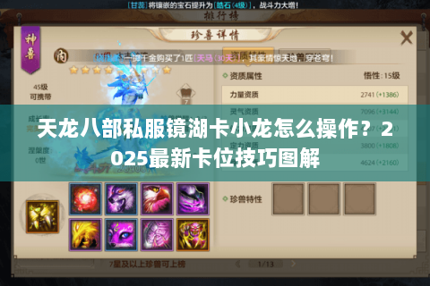 天龙八部私服镜湖卡小龙怎么操作?2025最新卡位技巧图解 天龙八部私服镜湖卡小龙怎么操作?2025最新卡位技巧图解