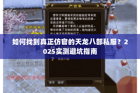 如何找到真正仿官的天龙八部私服?2025实测避坑指南 如何找到真正仿官的天龙八部私服?2025实测避坑指南