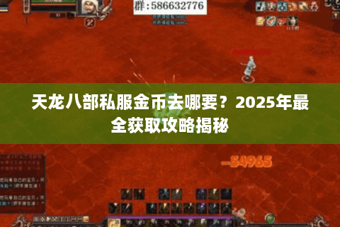 天龙八部私服金币去哪要？2025年最全获取攻略揭秘