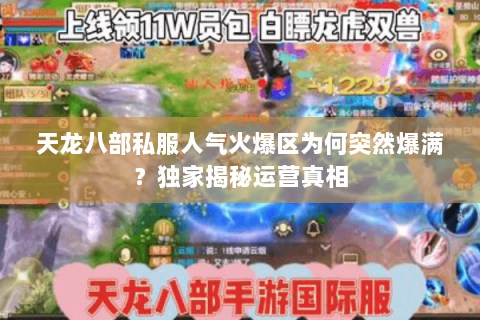天龙八部私服人气火爆区为何突然爆满?独家揭秘运营真相 天龙八部私服人气火爆区为何突然爆满?独家揭秘运营真相