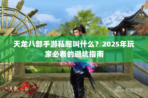 天龙八部手游私服叫什么？2025年玩家必看的避坑指南