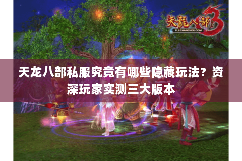 天龙八部私服究竟有哪些隐藏玩法?资深玩家实测三大版本 天龙八部私服究竟有哪些隐藏玩法?资深玩家实测三大版本