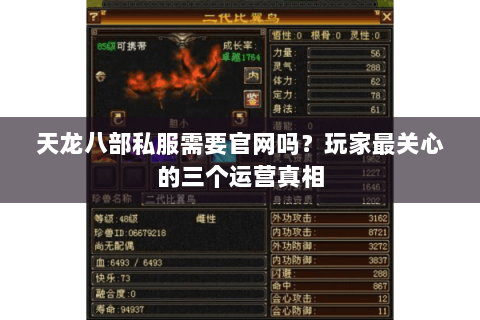 天龙八部私服需要官网吗?玩家最关心的三个运营真相 天龙八部私服需要官网吗?玩家最关心的三个运营真相