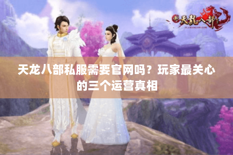 天龙八部私服需要官网吗?玩家最关心的三个运营真相 天龙八部私服需要官网吗?玩家最关心的三个运营真相