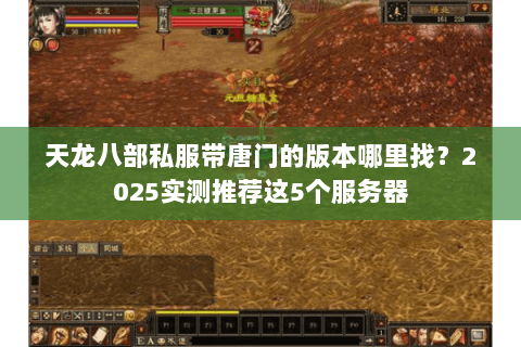 天龙八部私服带唐门的版本哪里找?2025实测推荐这5个服务器 天龙八部私服带唐门的版本哪里找?2025实测推荐这5个服务器