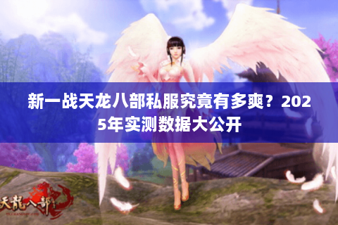 新一战天龙八部私服究竟有多爽?2025年实测数据大公开 新一战天龙八部私服究竟有多爽?2025年实测数据大公开