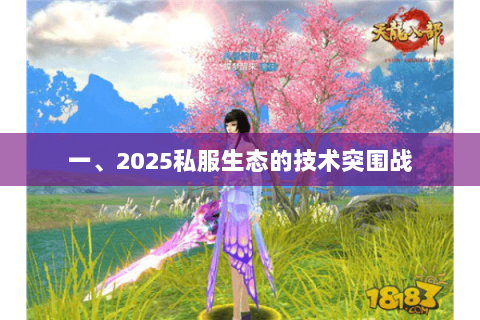 一、2025私服生态的技术突围战 一、2025私服生态的技术突围战