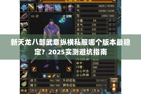 新天龙八部武意纵横私服哪个版本最稳定？2025实测避坑指南