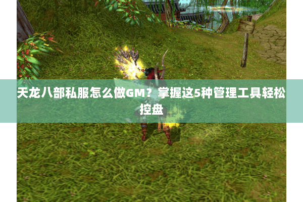 天龙八部私服怎么做GM?掌握这5种管理工具轻松控盘 天龙八部私服怎么做GM?掌握这5种管理工具轻松控盘