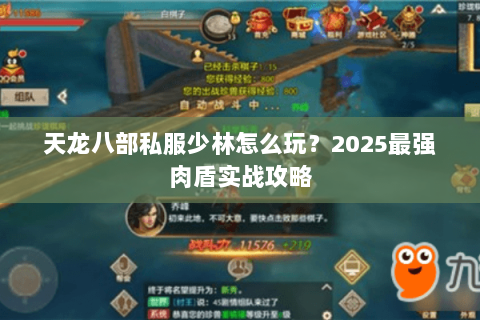 天龙八部私服少林怎么玩?2025最强肉盾实战攻略 天龙八部私服少林怎么玩?2025最强肉盾实战攻略
