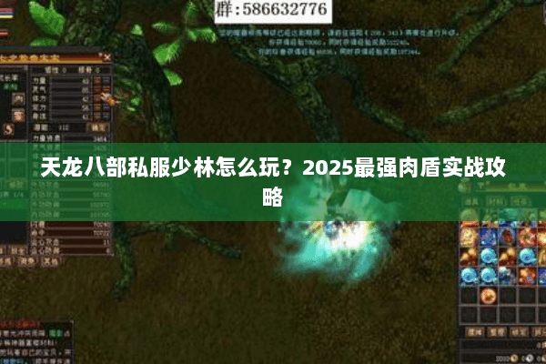 天龙八部私服少林怎么玩?2025最强肉盾实战攻略 天龙八部私服少林怎么玩?2025最强肉盾实战攻略