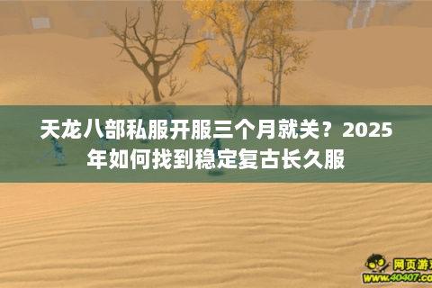 天龙八部私服开服三个月就关？2025年如何找到稳定复古长久服