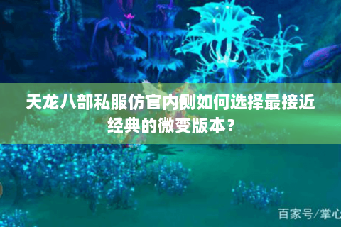 天龙八部私服仿官内侧如何选择最接近经典的微变版本? 天龙八部私服仿官内侧如何选择最接近经典的微变版本?
